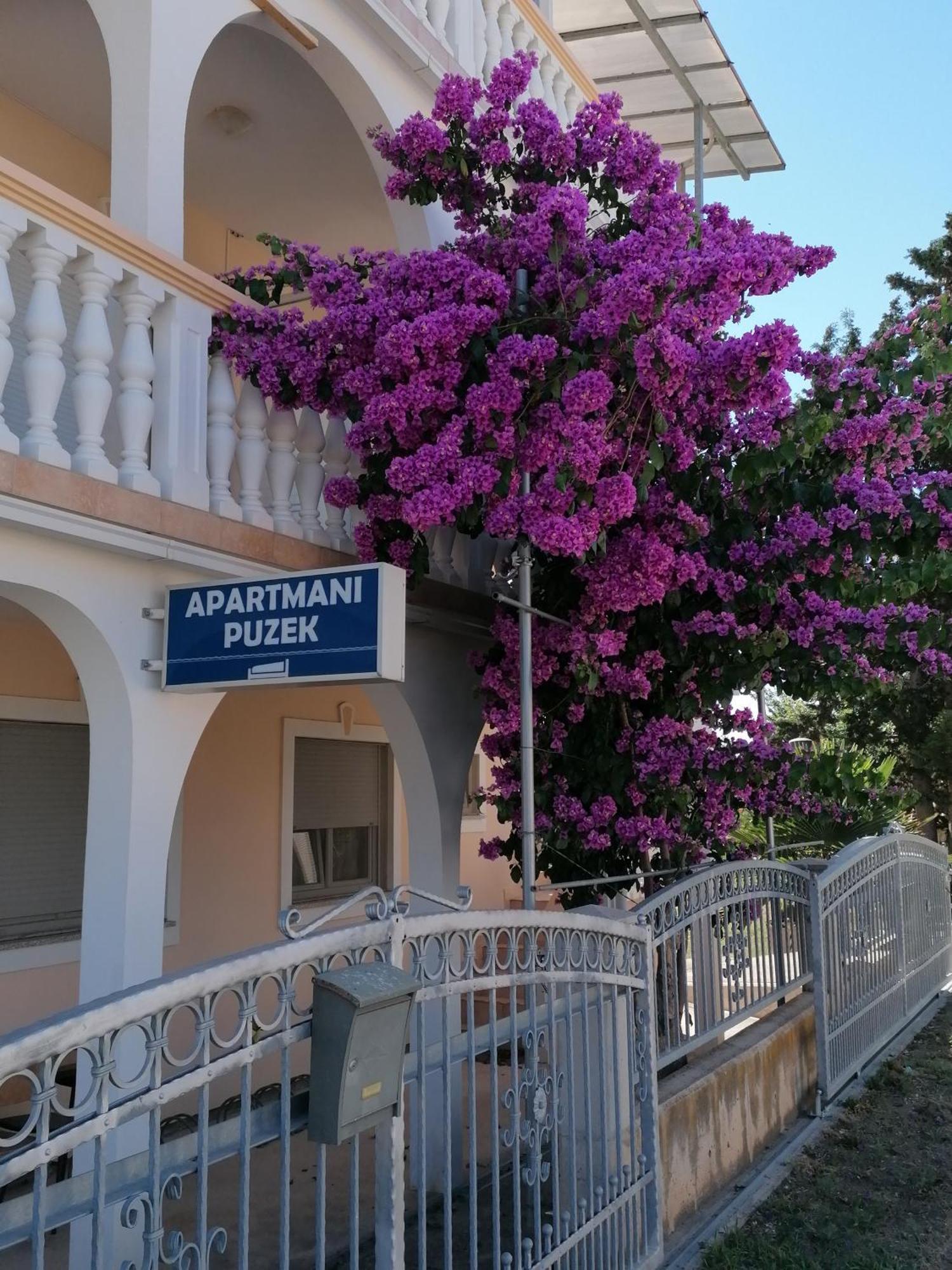 Apartmani Puzek Bibinje Luaran gambar